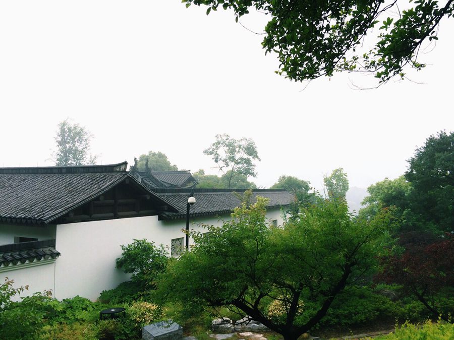 超山之巅