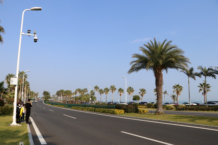 环岛路